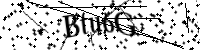 type the text below